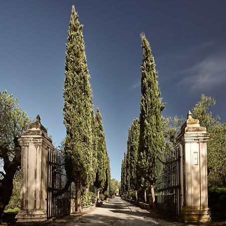 Almeira 4Acre Estate, For Unparalleled Seclusion, By Thinkvilla Kota Zakynthos Bagian luar foto