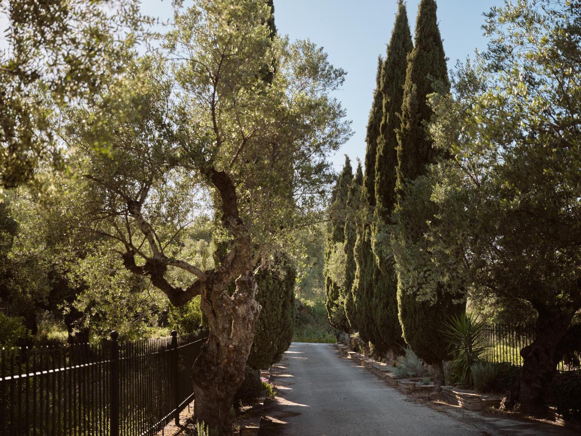Almeira 4Acre Estate, For Unparalleled Seclusion, By Thinkvilla Kota Zakynthos Bagian luar foto